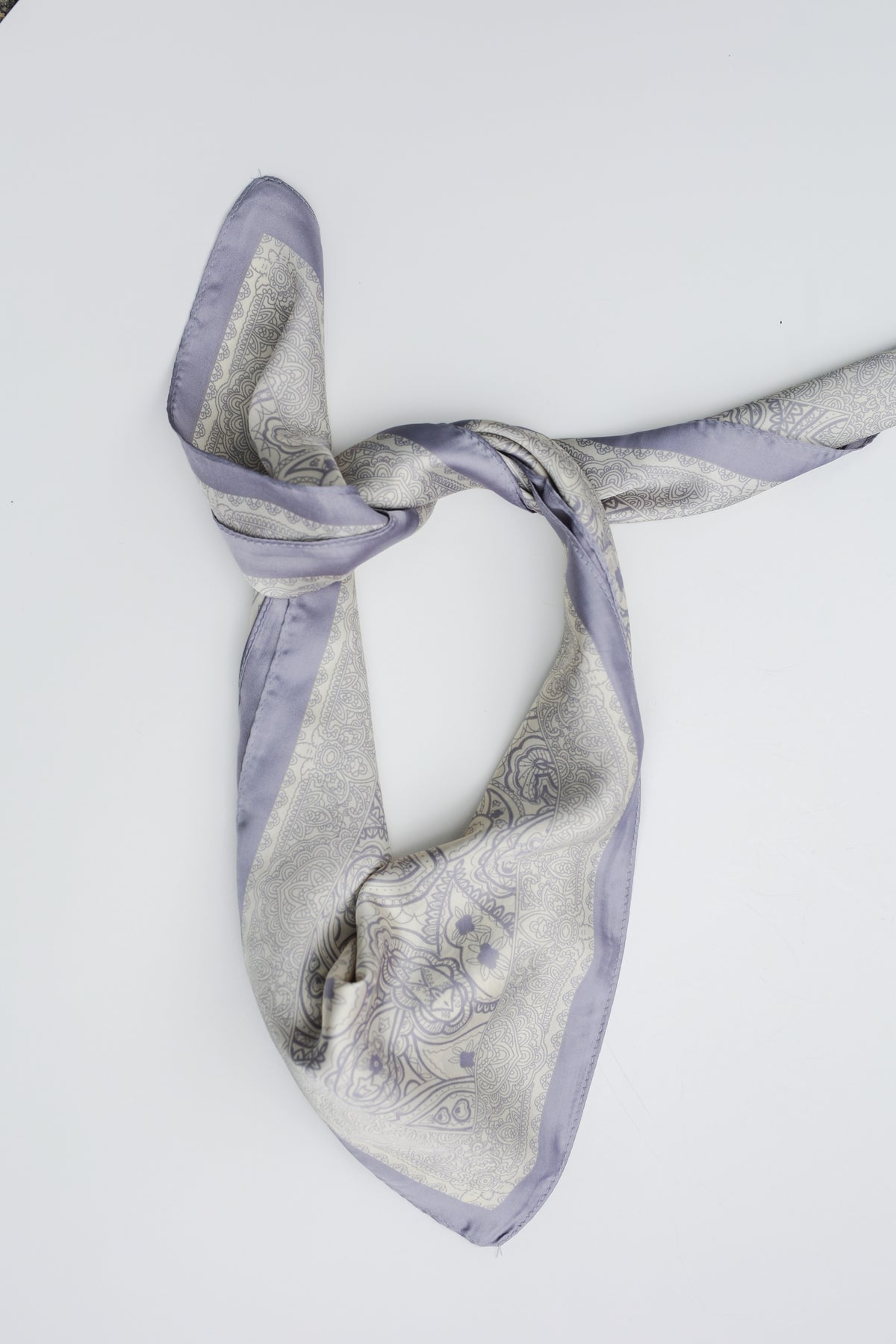 Pretty Love Paisley Scarf In Gray